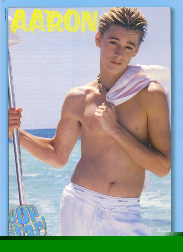 aaaaaaah_hopt_damn_aaron_popstar_feb03_10.jpg